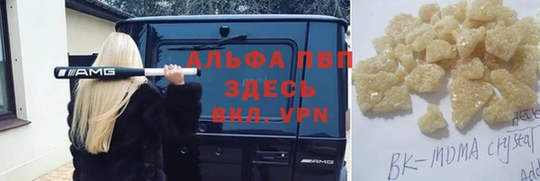 прущие грибы Баксан
