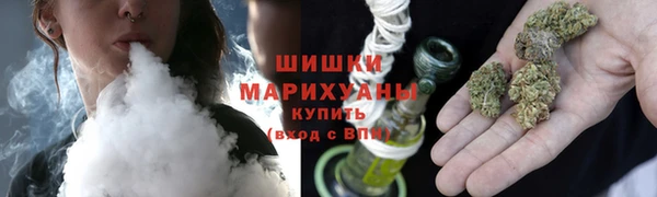 прущие грибы Баксан