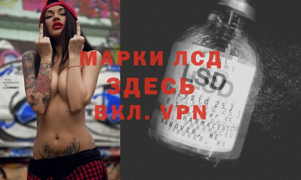 прущие грибы Баксан