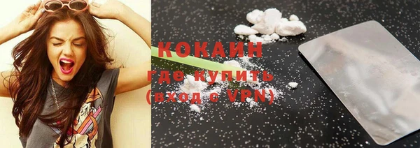прущие грибы Баксан