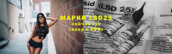 прущие грибы Баксан